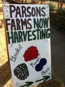 Now Harvesting! | missionalchallenge.com